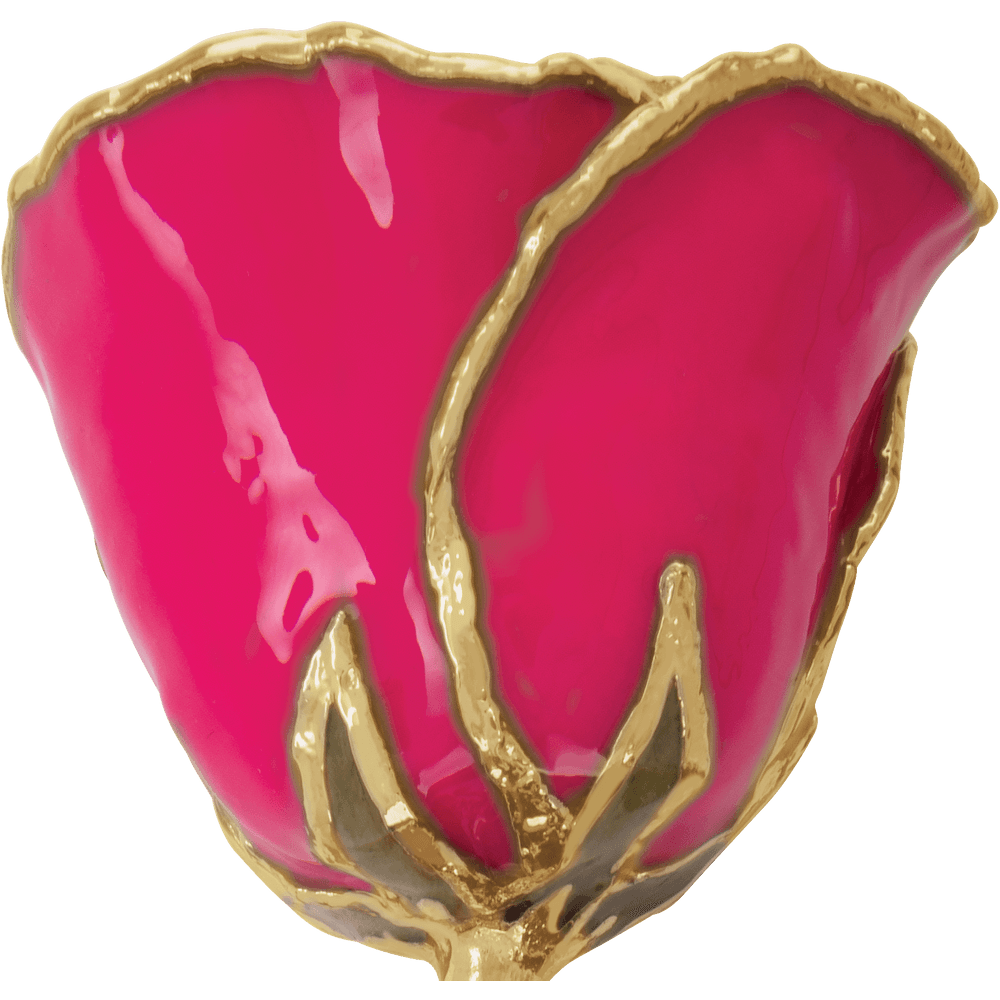 24K Solid Gold Rose- Magenta Pink