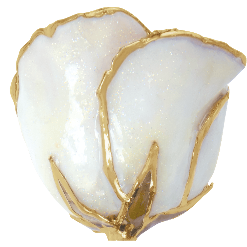 24K Solid Gold Rose- Diamond White