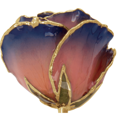 24K Solid Gold Rose- Purple and Pink