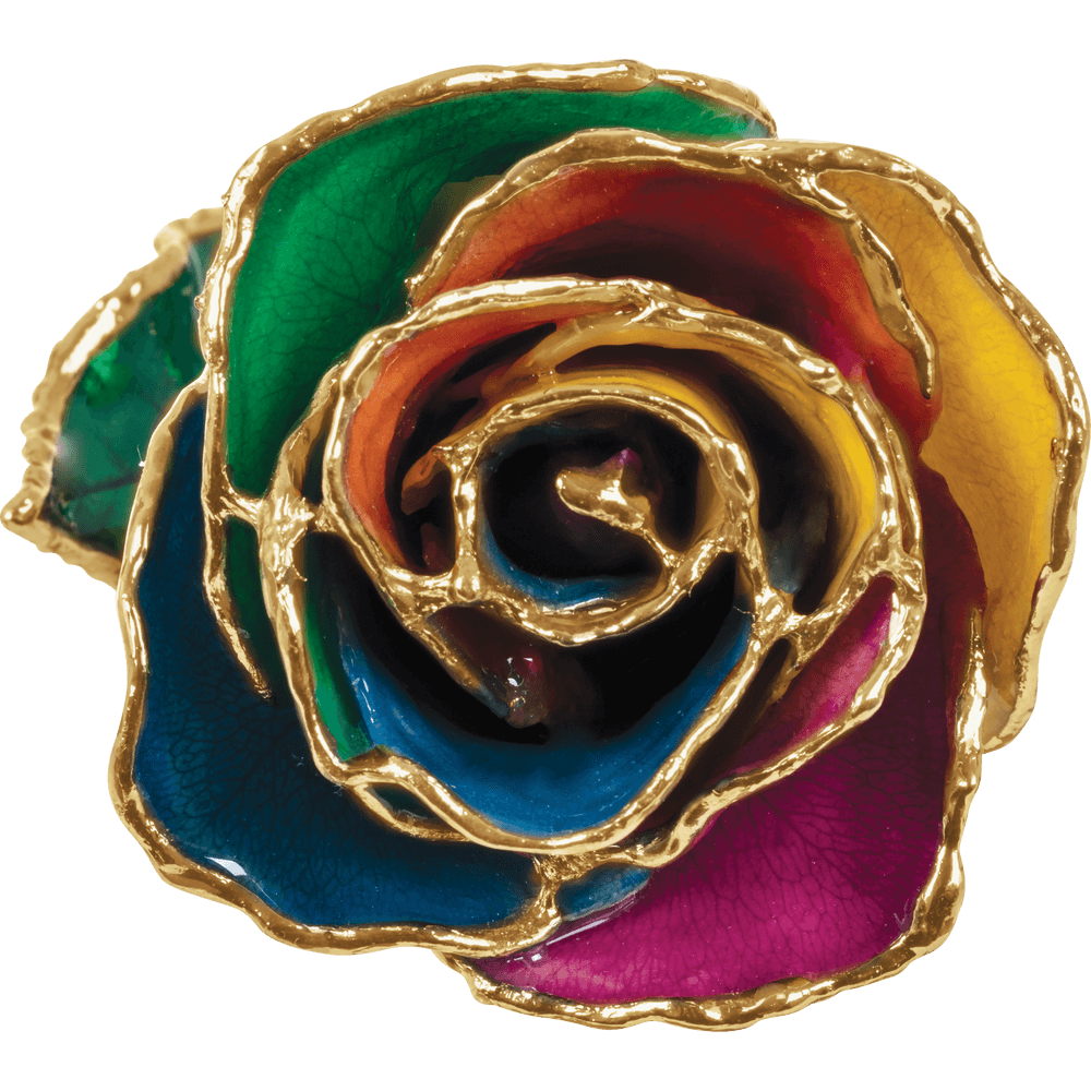 24K Solid Gold Rose- Rainbow